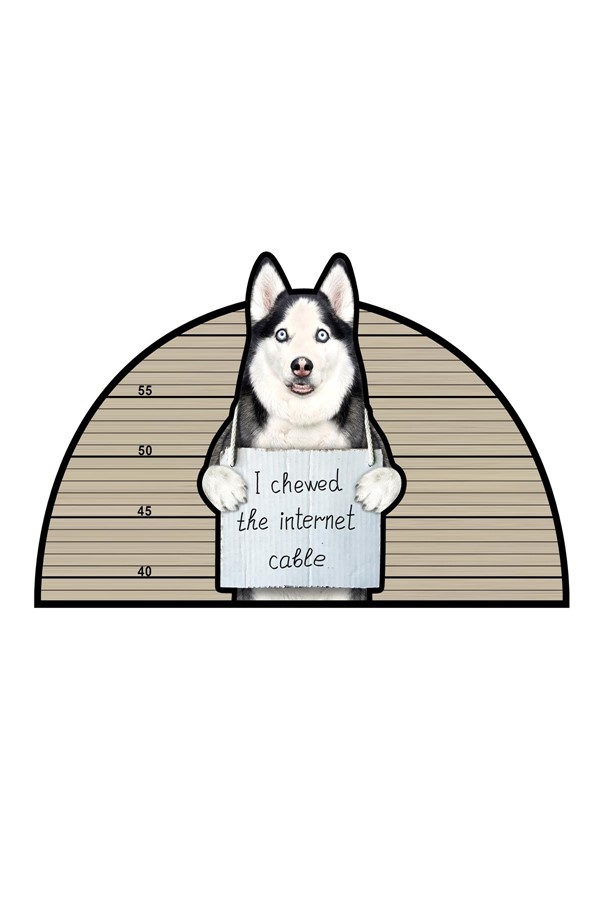 Dekoratif Dijital Baskılı Sibirya Kurdu Köpeği Desenli Kapı Önü Paspası